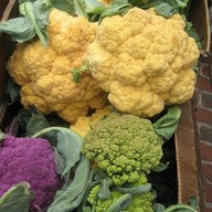 cauliflower; negative rank 2; activation −232