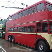 trolleybus · rank 12 of 50,000 · activation 0.69 trolleybus