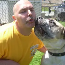 bull mastiff · rank 42 of 50,000 · activation 0.52 bull mastiff