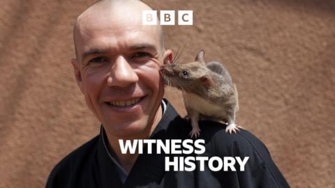 Witness History: How rats were trained to clear landmines