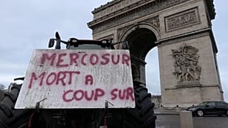 Hundreds of farmers rally in Paris against EU-Mercosur pact and import fears