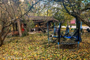 На Харківщині російський дрон вдарив по парку - загинули дві жінки й немовля, 15 поранених