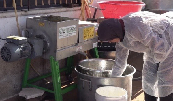 Palestinian Women Turn Hebron’s Surplus ...