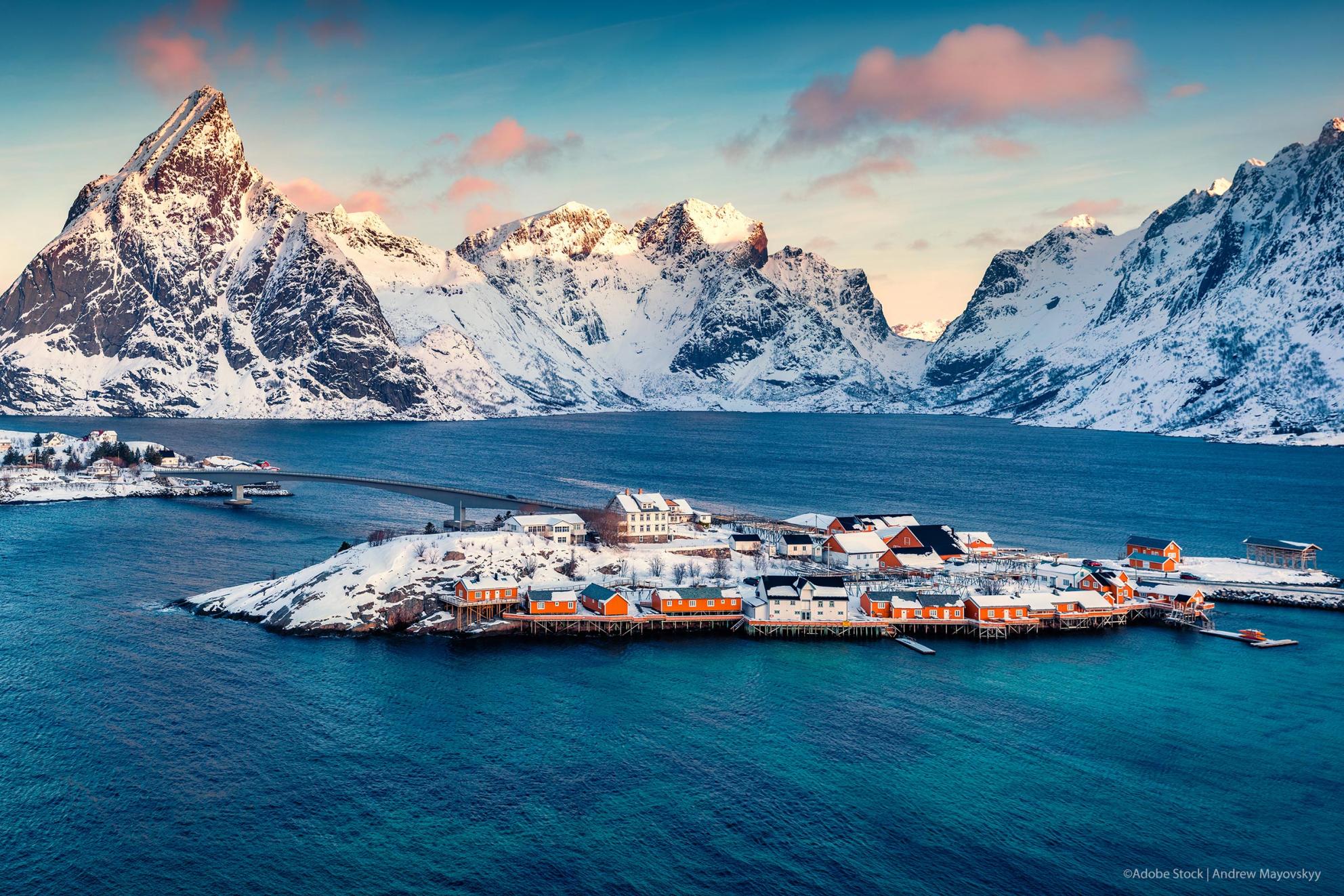 Arctic community