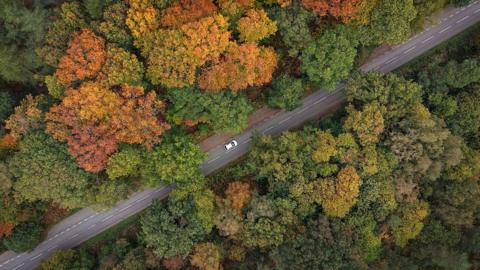 An aerial photo shows a single carriageway road on which a white car is driving, cutting through a forest which has trees with a variety of redm orange and gree coloured leaves. 