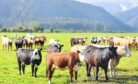 New Zealand&rsquo;s Climate Report Tests Its Pacific Leadership