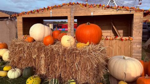 A variety of different types of pumpkins positioned on or next to a hay bale 
