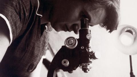 A black and white photo shows Franklin looking down through a microscope in a lab indoors in 1955.