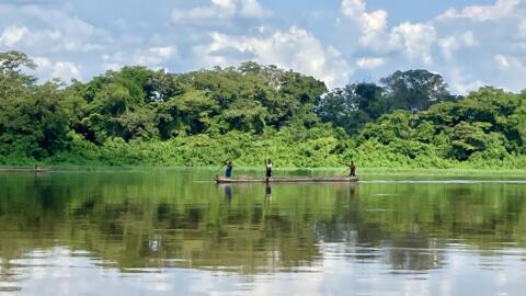 Le long de la rivière (ou du fleuve) Oubangui, de très nombreux villages ont été sinistrés lors des précédentes inondations. Selon l’Unicef, parmi les départements vulnérables, celui de la Likouala est de loin le plus touché par des inondations cycliques qui entrainent des déplacements de populations avec un impact direct en termes de santé, de sécurité alimentaire, d’éducation, de nutrition et d’accès à l’eau potable.