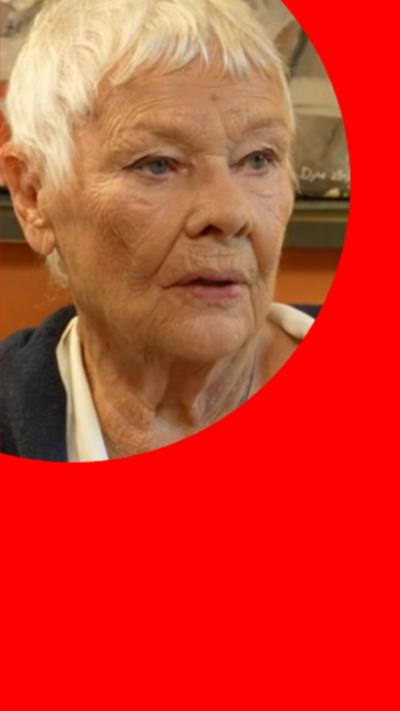 Dame Judy Dench has short white hair and wears a white shirt with a blue jumper