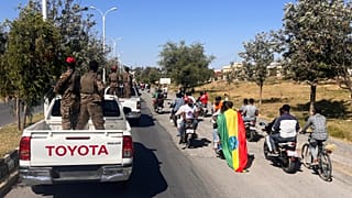 Ethiopian gains in Tigray risk wider war with Eritrea, analyst warns