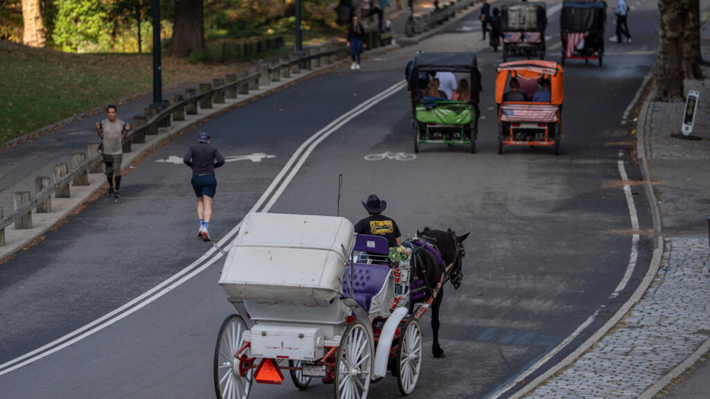 A horse-drawn carriage takes passengers for a loop through Central Park, Wednesday, Oct. 14, 2026, in New York. 