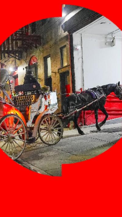 A black horse pulling a white carriage, walking into a large well-lit doorway at night.