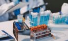 China Capitalizes on America&rsquo;s Scientific Brain Drain
