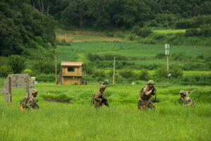 What States Make of Military Exercises: Ulchi and Beyond
